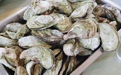 破苞第一次流血高清